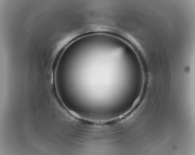X0000091951269200709131156