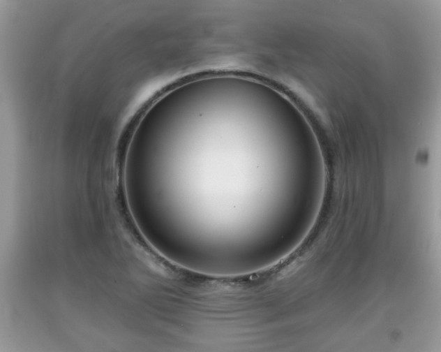 X0000091951270200709131156