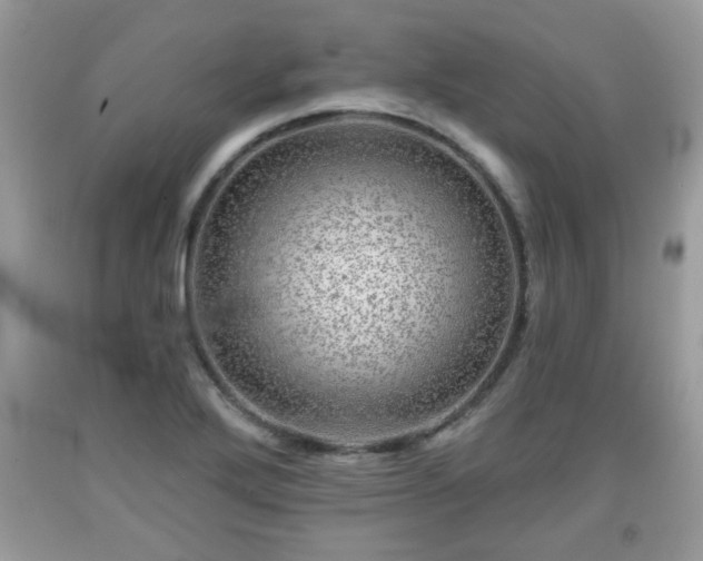 X0000091951272200709131156