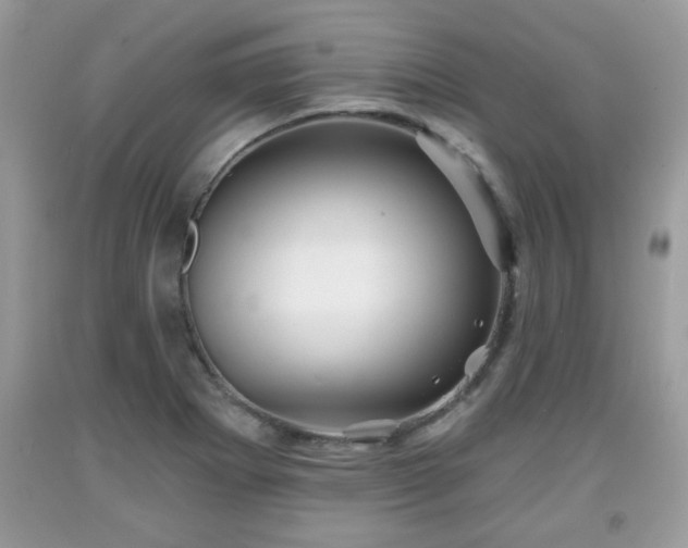 X0000091951273200709131156