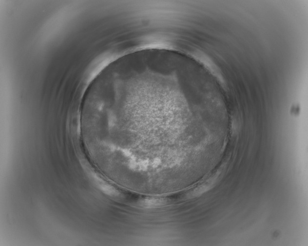 X0000091951274200709131156