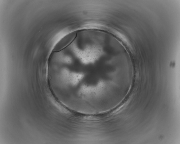 X0000091951275200709131156