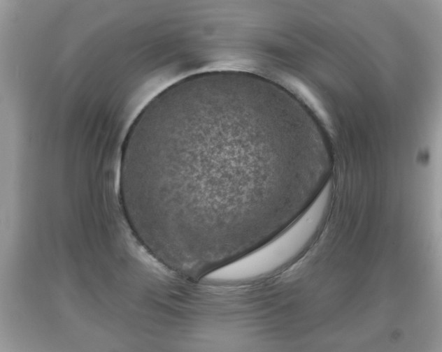X0000091951276200709131156
