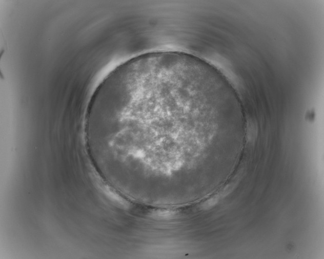 X0000091951278200709131156