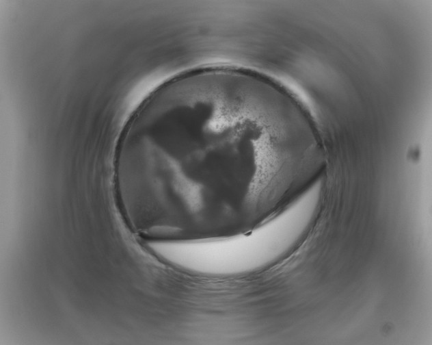 X0000091951279200709131156