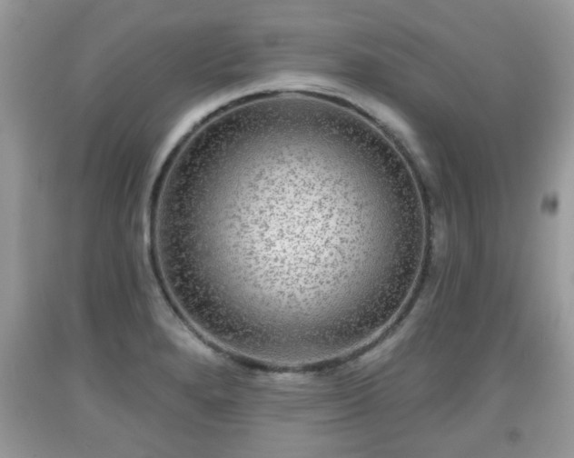 X0000091951280200709131156