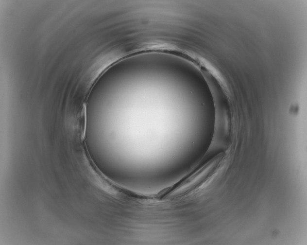X0000091951281200709131156