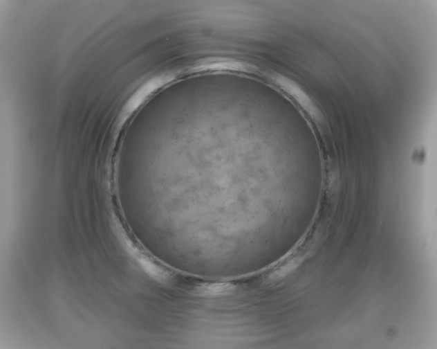 X0000091951282200709131156