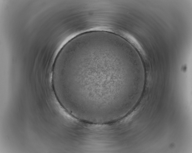 X0000091951284200709131156