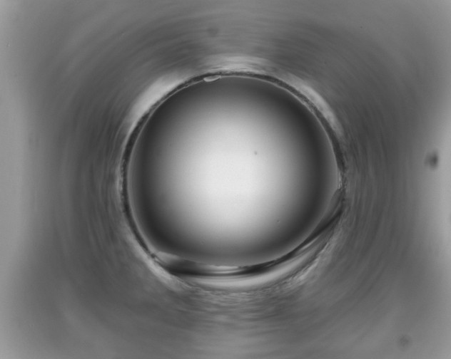 X0000091951285200709131156