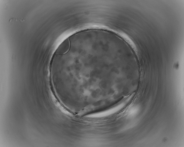 X0000091951287200709131156
