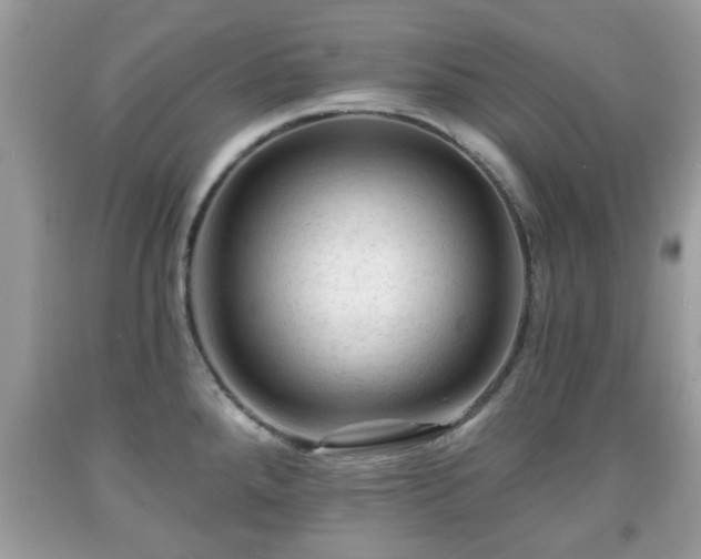 X0000091951288200709131156