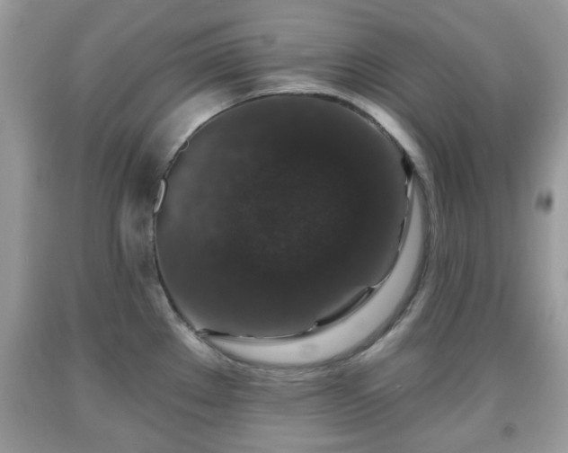 X0000091951289200709131156