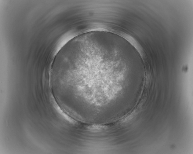 X0000091951290200709131156