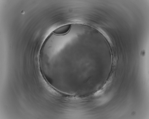 X0000091951291200709131156