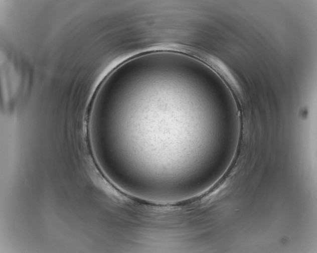 X0000091951292200709131156