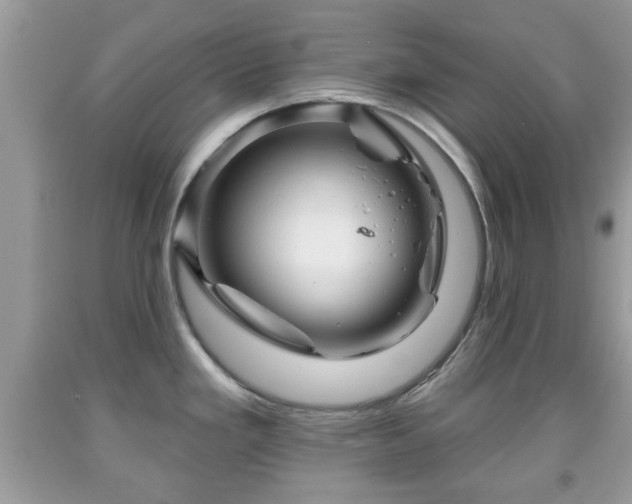 X0000091951293200709131156