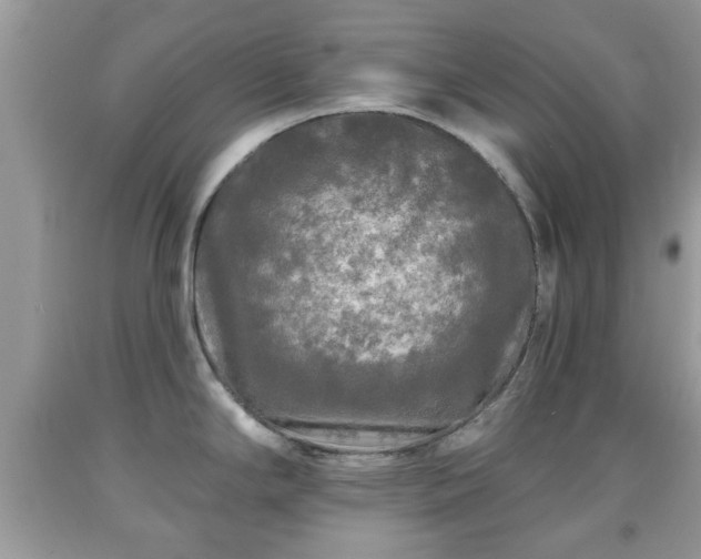 X0000091951294200709131156