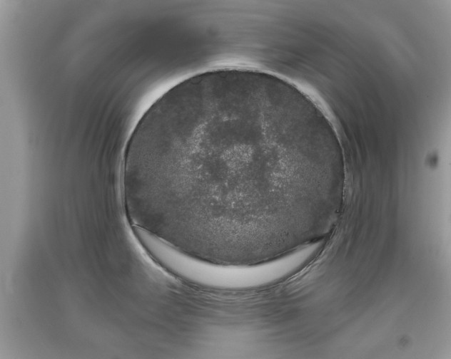 X0000091951295200709131156