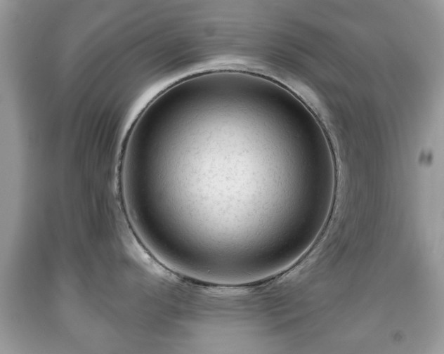X0000091951296200709131156