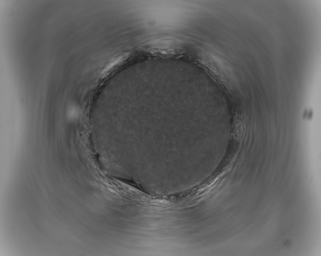X0000091951297200709131155