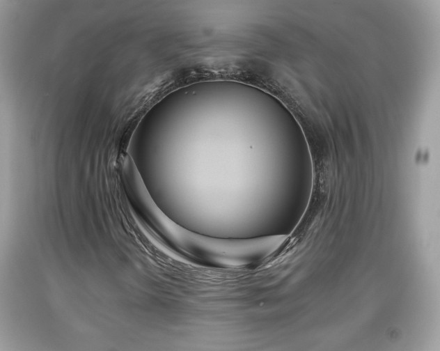 X0000091951298200709131155