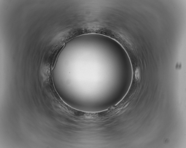 X0000091951299200709131155
