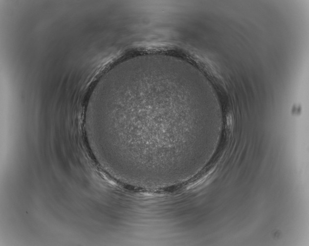 X0000091951300200709131155