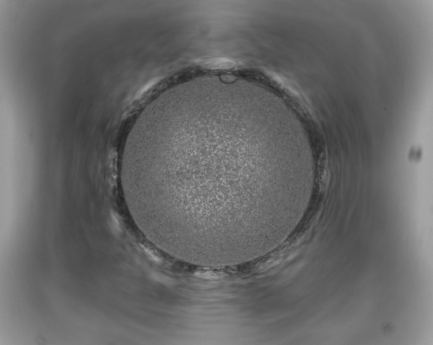 X0000091951301200709131155