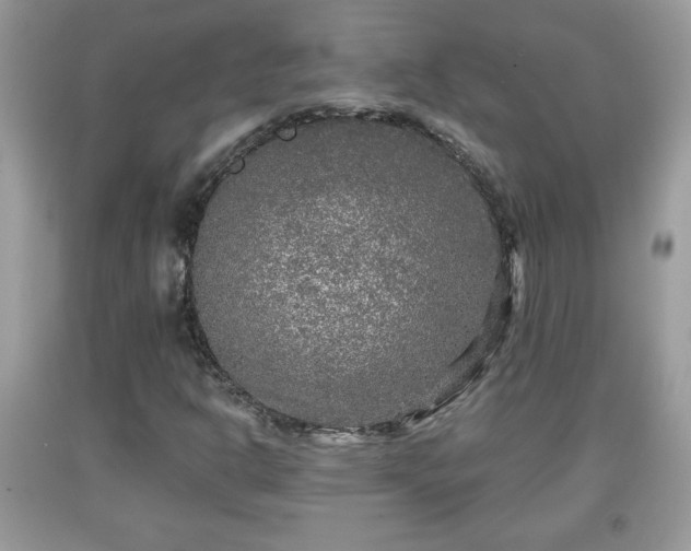 X0000091951302200709131155