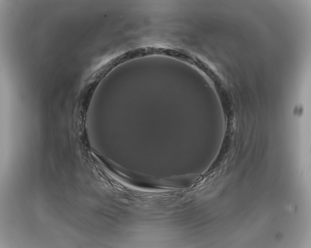 X0000091951303200709131155