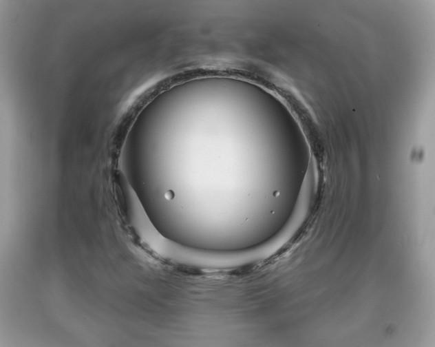 X0000091951304200709131155