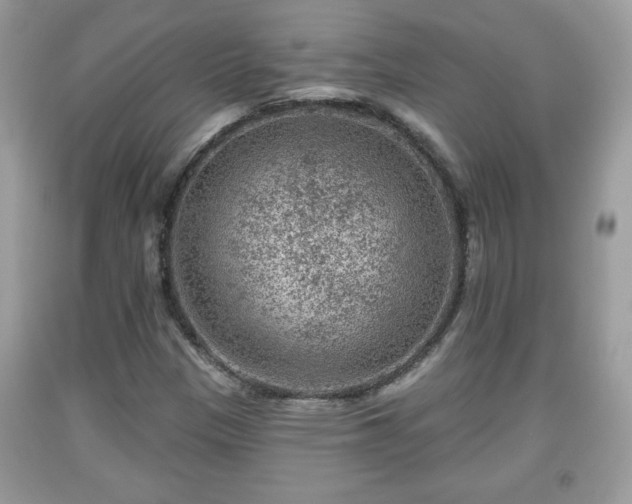 X0000091951305200709131155