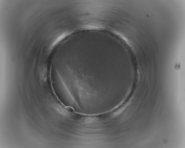 X0000091951306200709131155