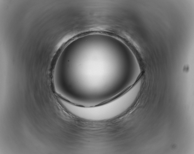 X0000091951308200709131155