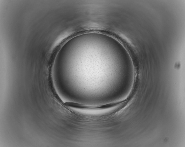 X0000091951309200709131155