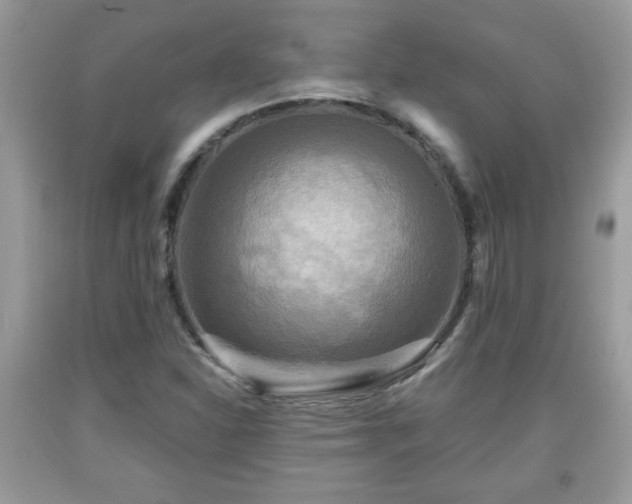 X0000091951310200709131155