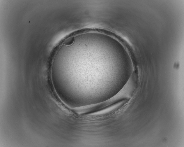 X0000091951311200709131155
