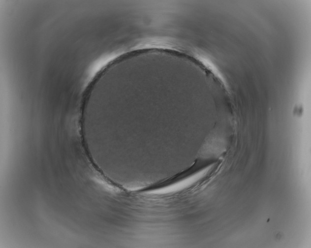 X0000091951312200709131155