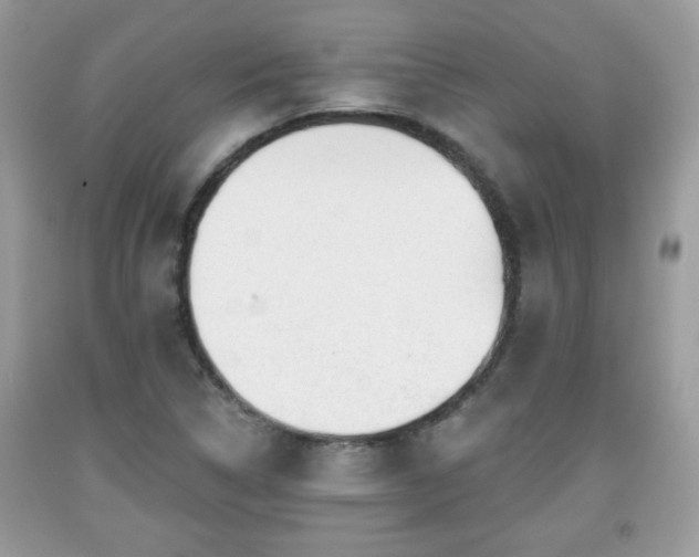 X0000091951314200709131155