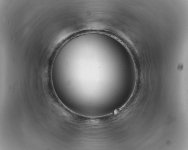 X0000091951315200709131155