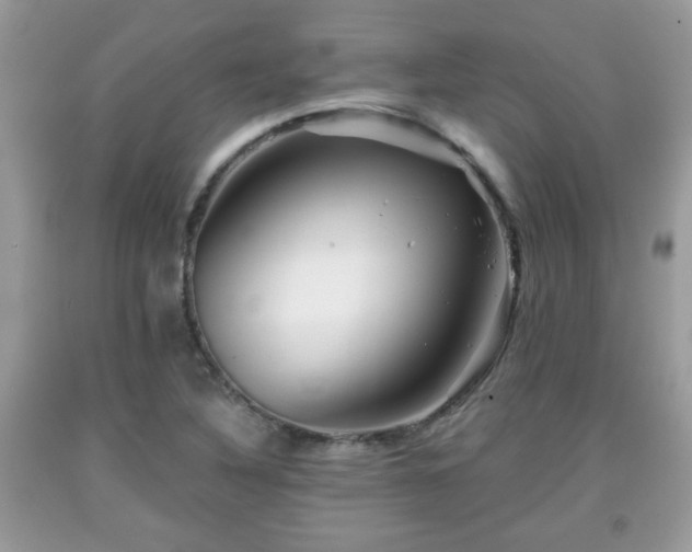 X0000091951316200709131155