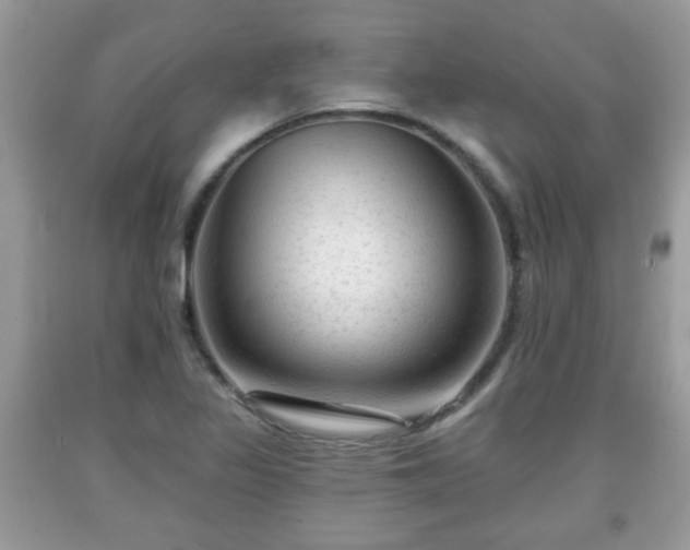 X0000091951317200709131155