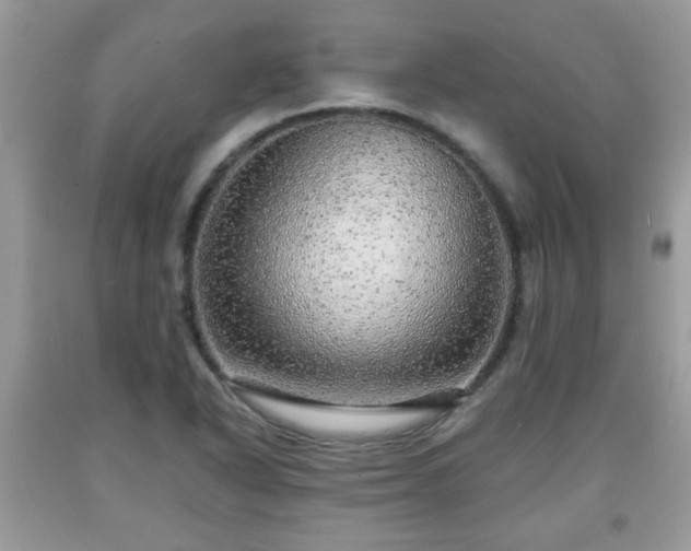 X0000091951318200709131155