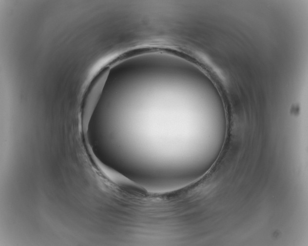 X0000091951320200709131155