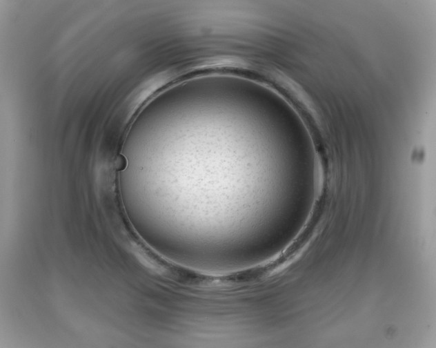 X0000091951321200709131155