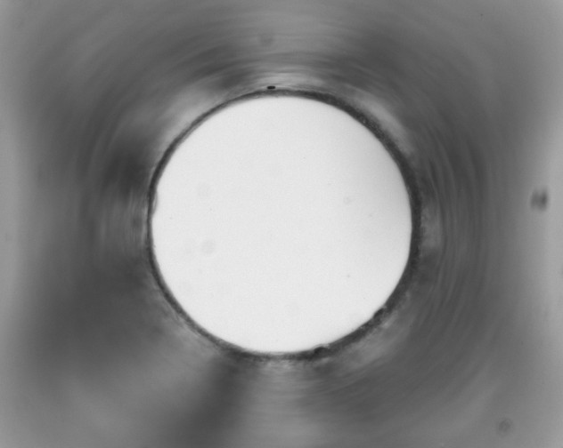 X0000091951322200709131155