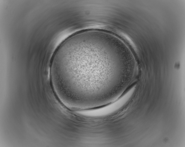 X0000091951324200709131155