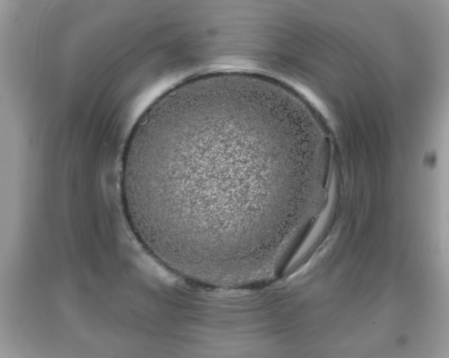 X0000091951325200709131155