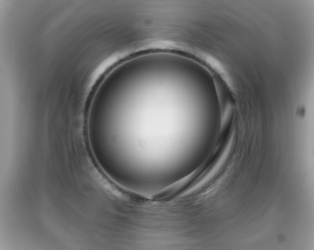 X0000091951326200709131155